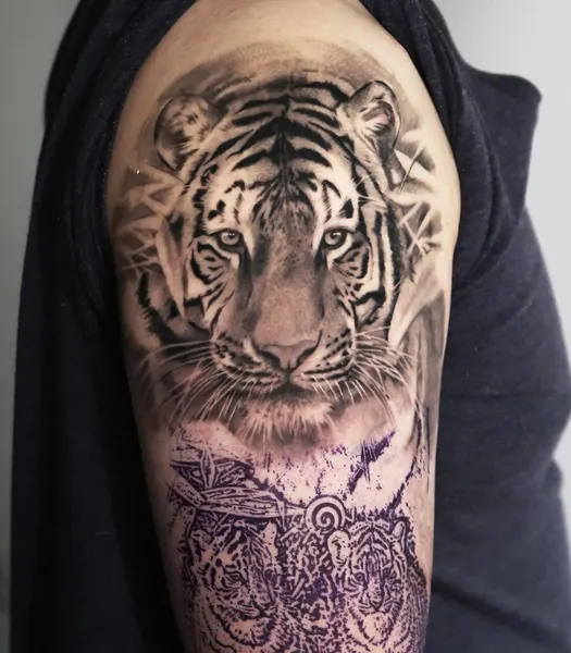 Tiger, 중국 호랑이