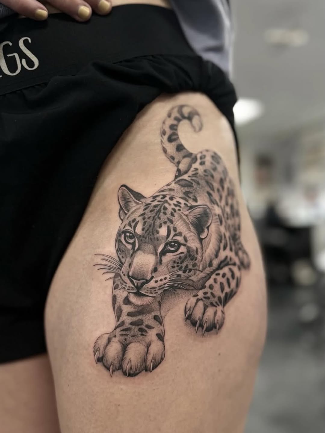 Animal