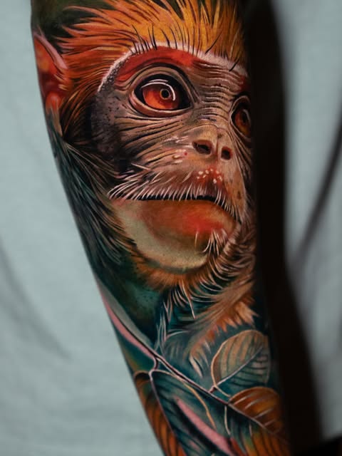 Tiger, Animal
