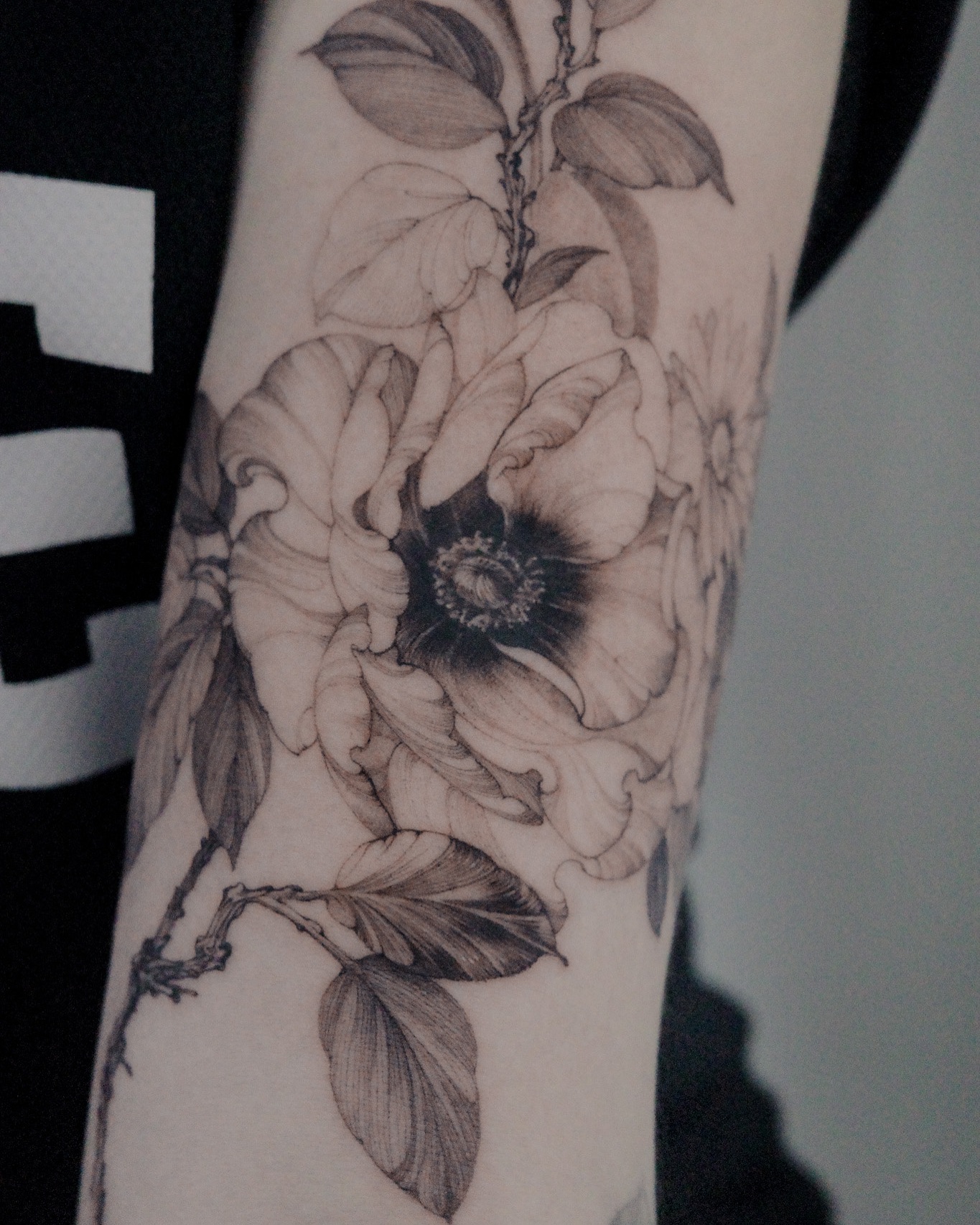 Flower, Rose
