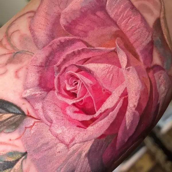 Flower, Rose