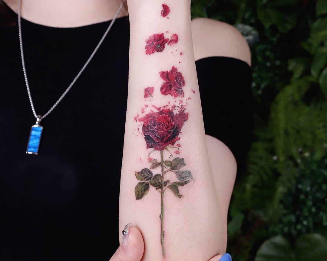 Flower, Rose