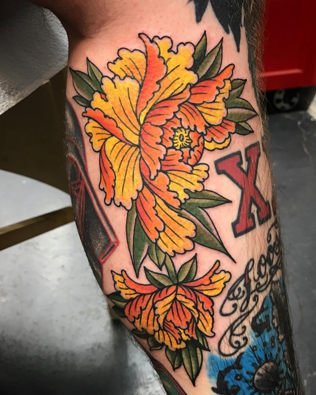 Flower, Rose