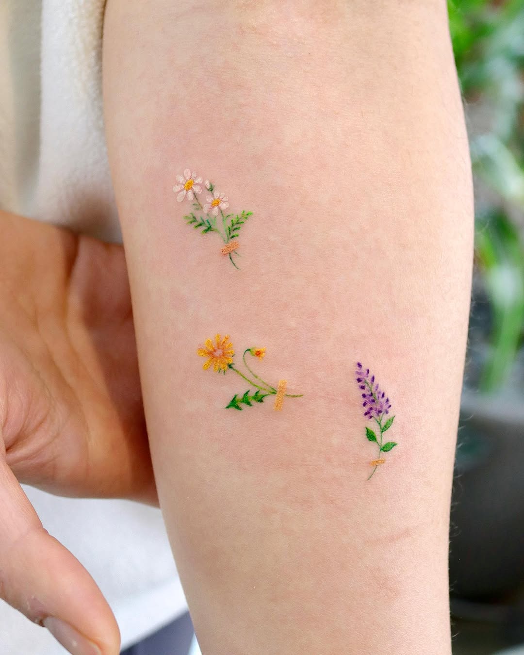 Flower
