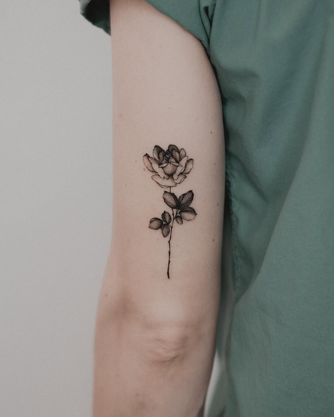 Flower, Rose
