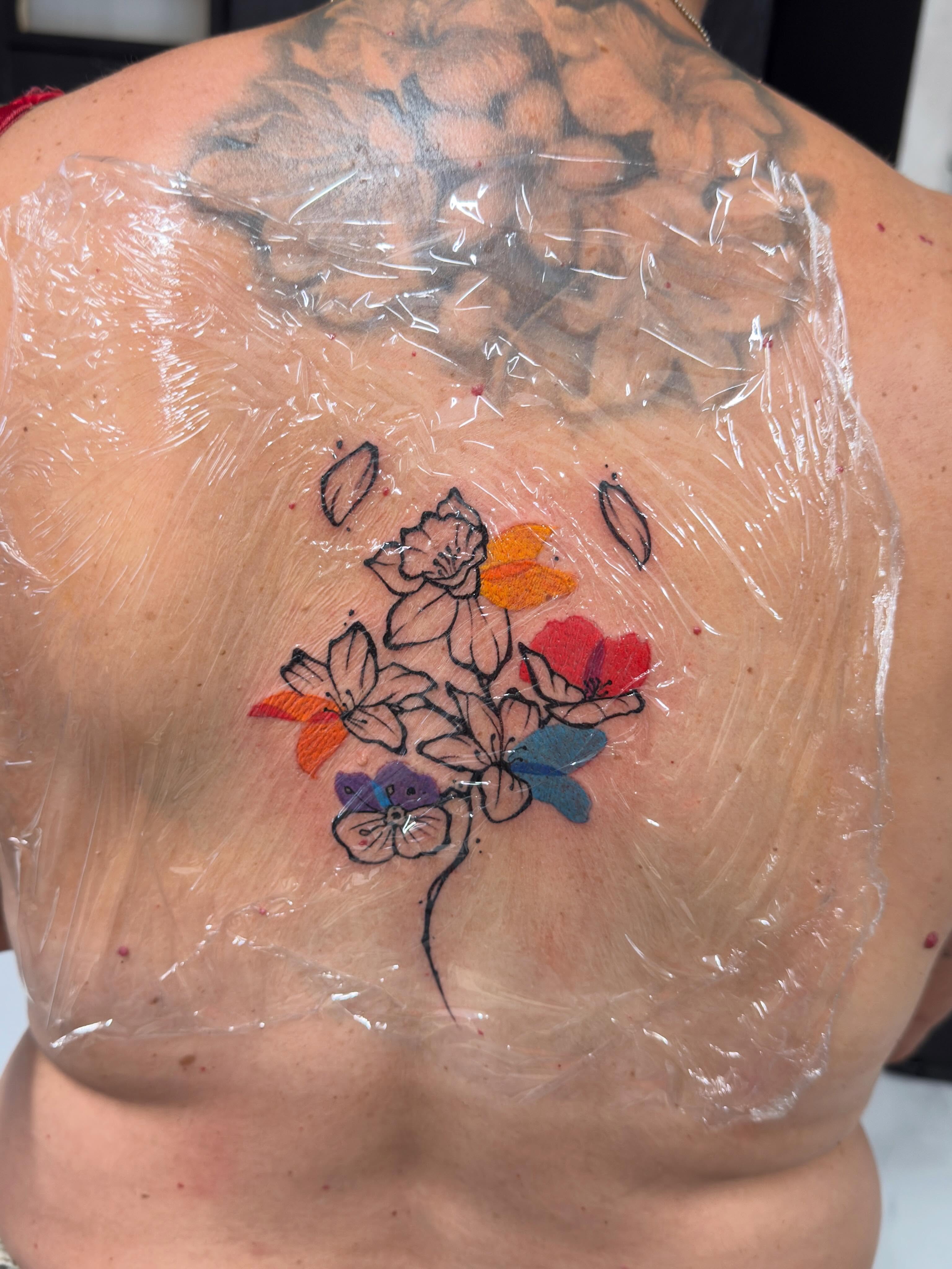 Flower, Nature, Rose