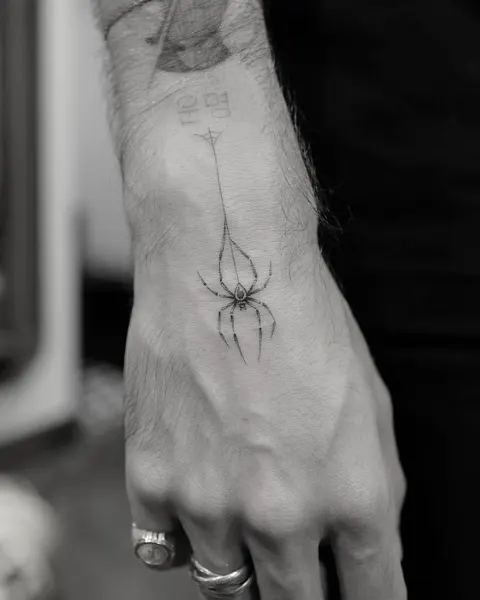 Animal