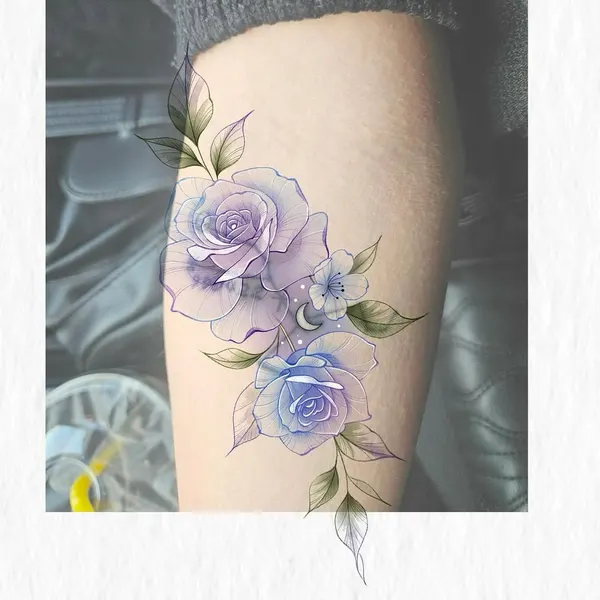 Flower, Nature, Rose