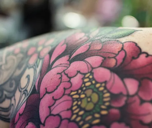 Flower, Rose