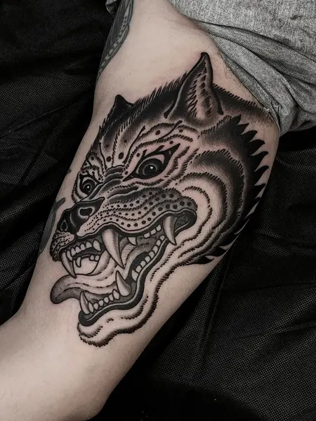 Tiger, Animal