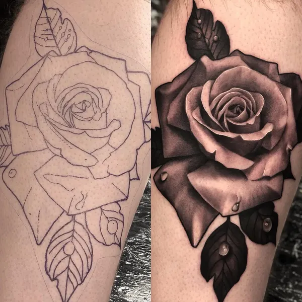 Rose, Flower