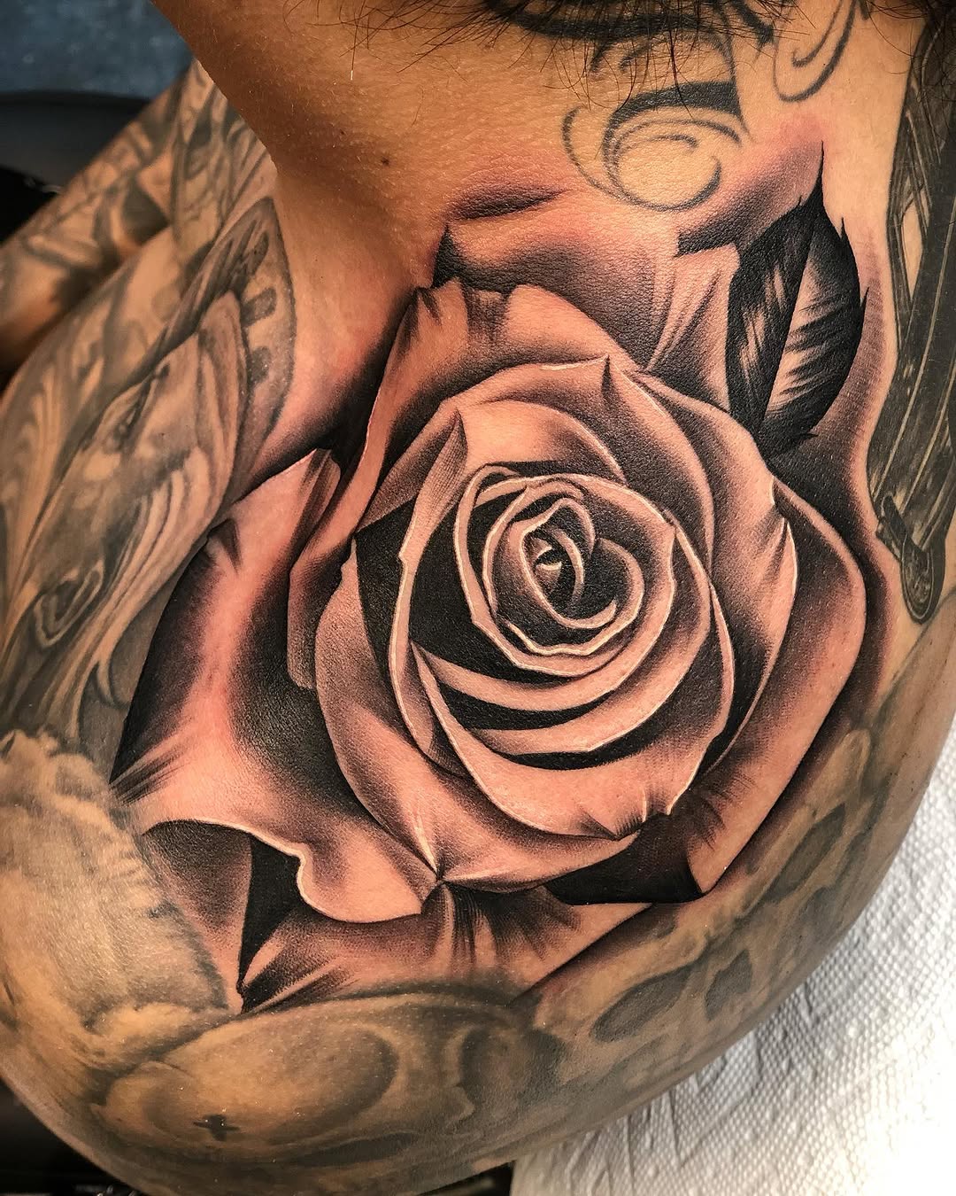 Flower, Rose, Nature
