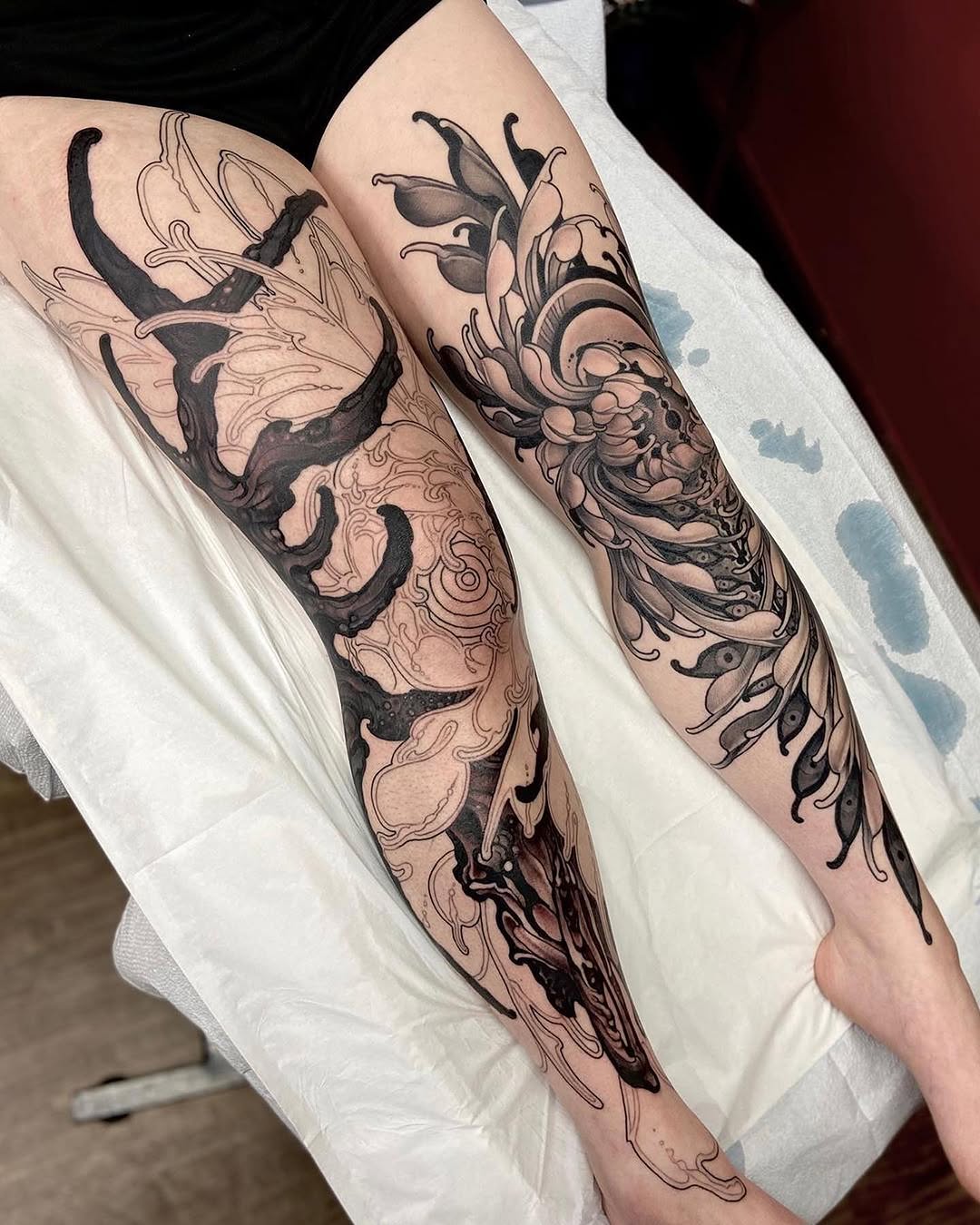 Dragon, Animal