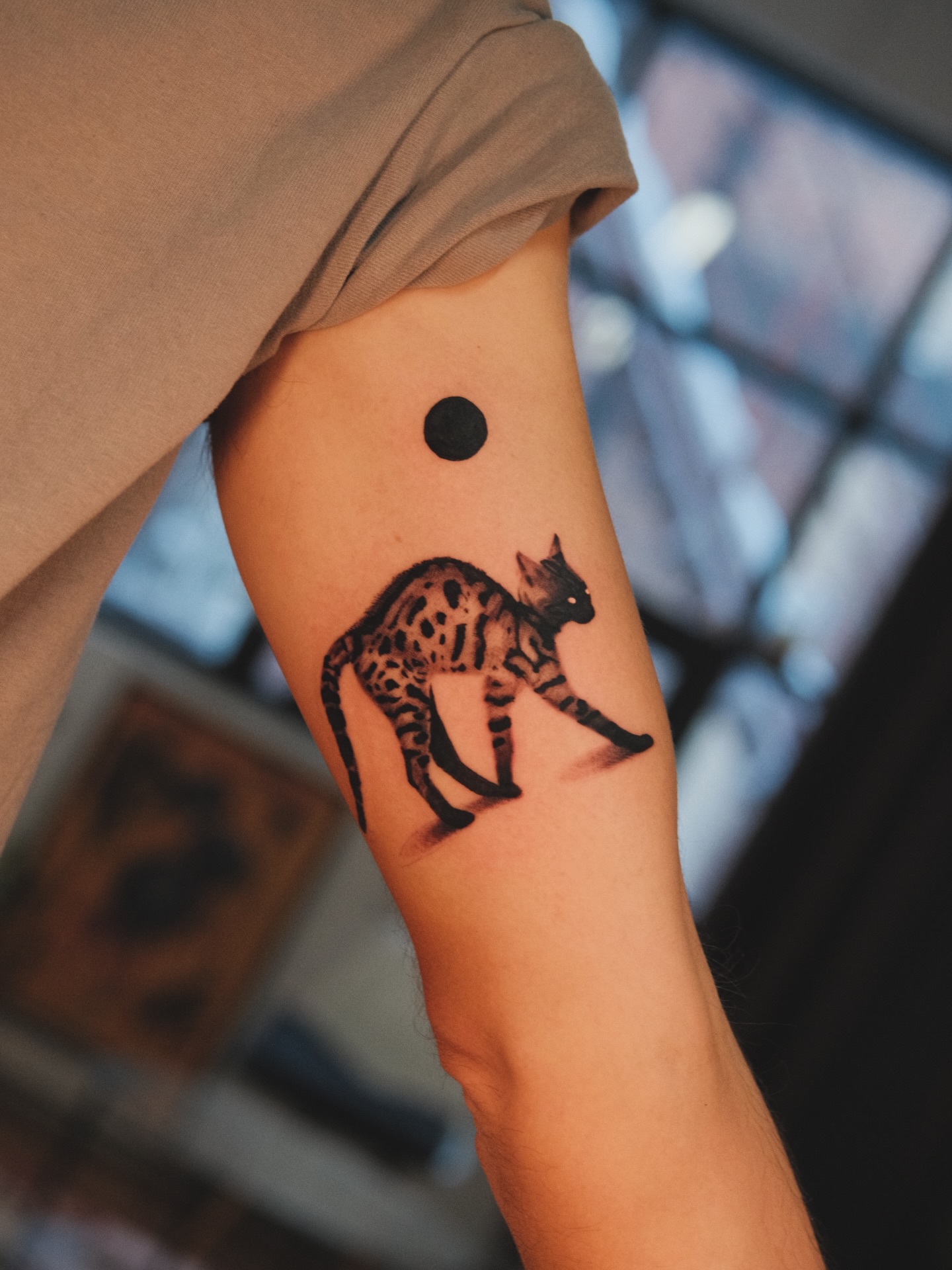 Tiger, Animal, 표범