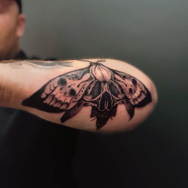 Animal, Nature