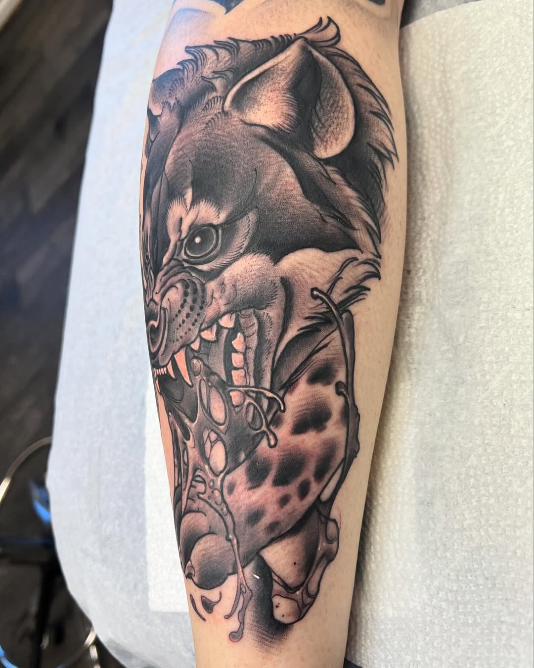 Animal, Tiger