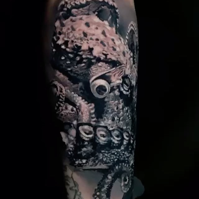 Animal