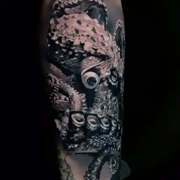 Animal