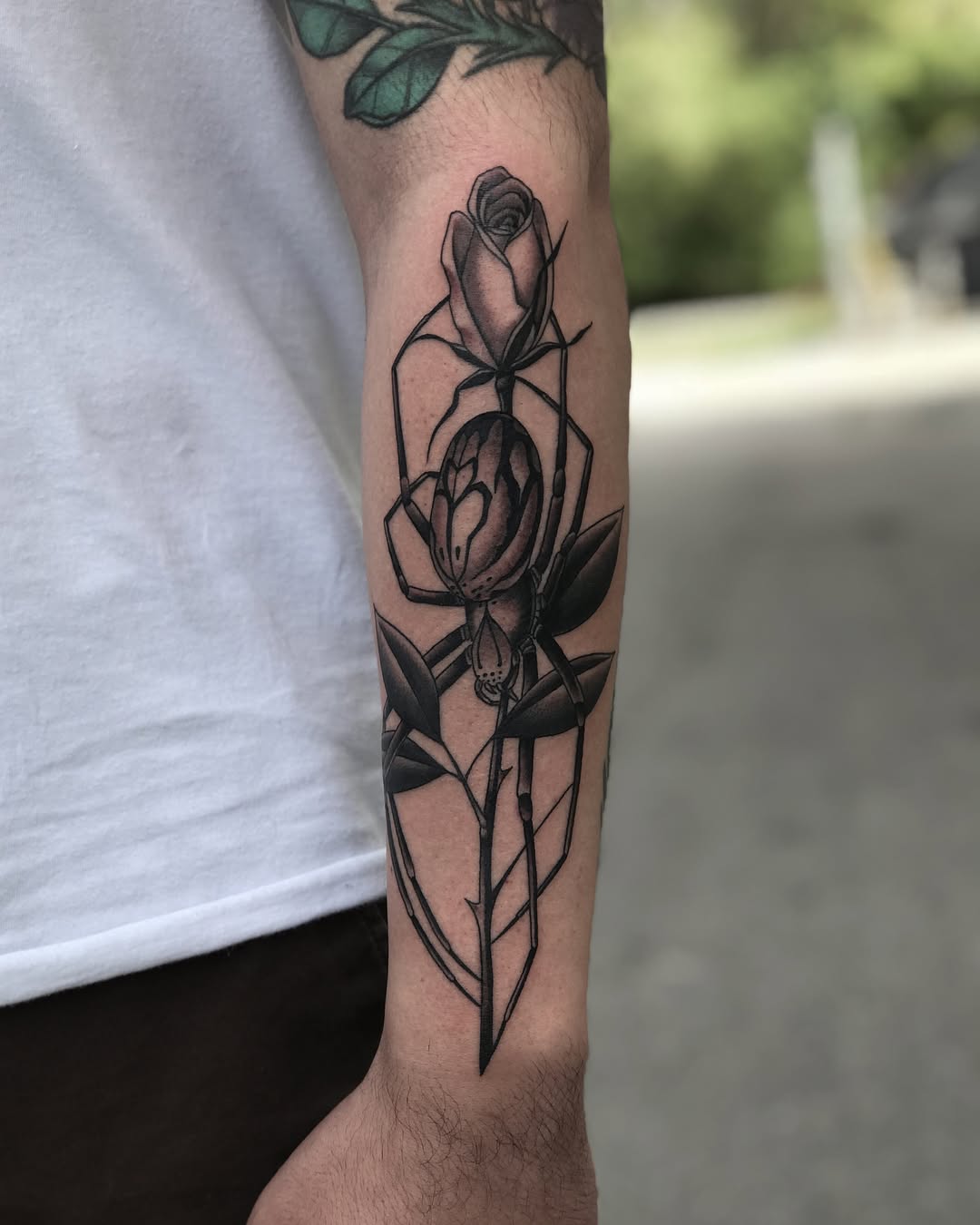 Flower, Rose