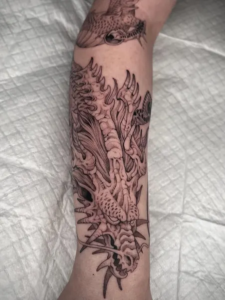 Dragon