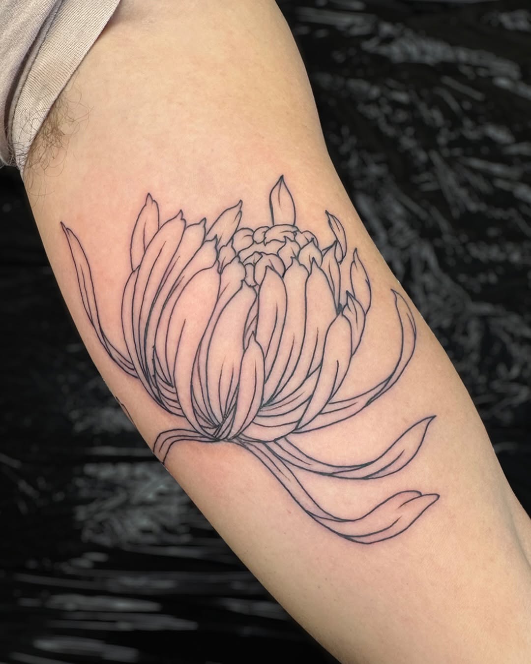 Lettering