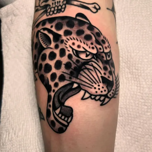 Tiger, Animal