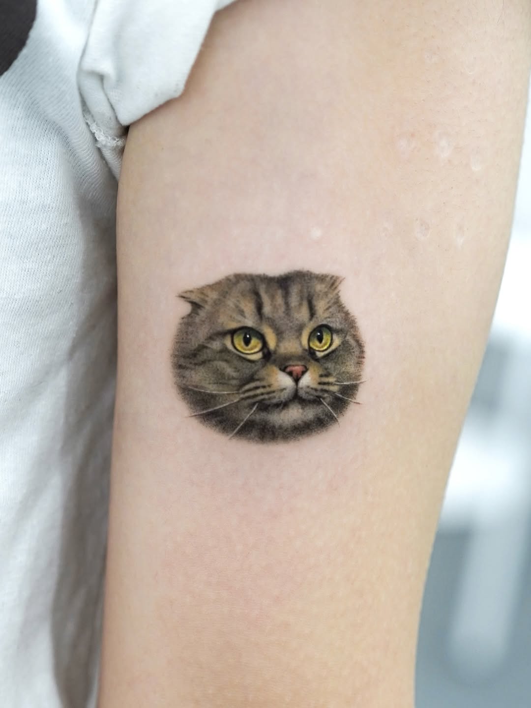 dorok.tattoo
