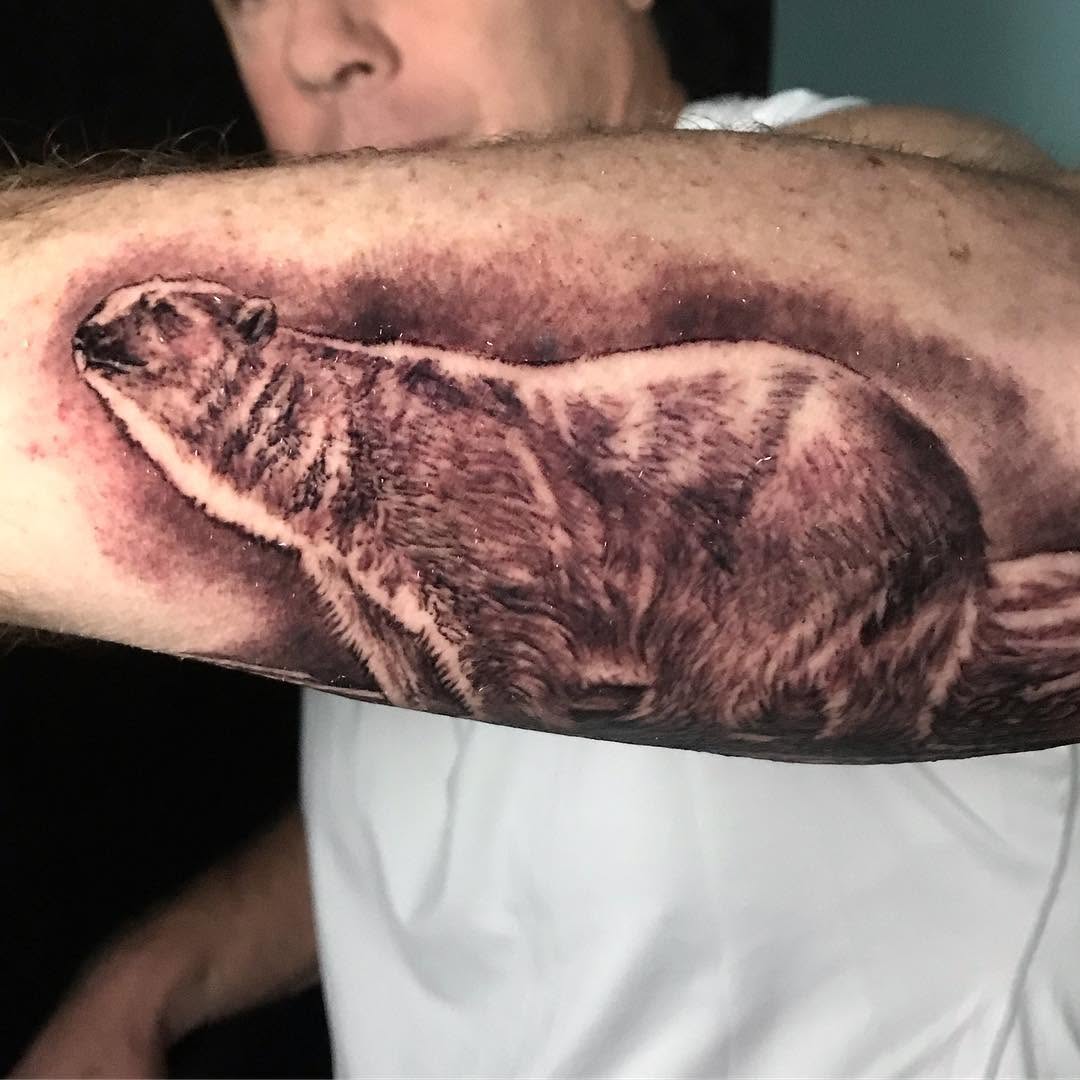 Animal
