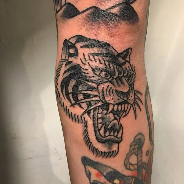 Tiger, Animal