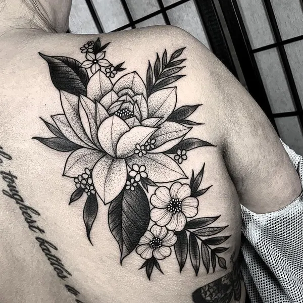 Flower, Nature, Rose