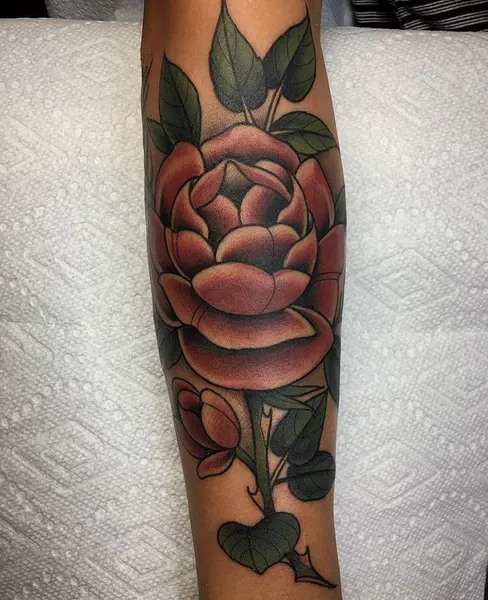 Flower, Rose