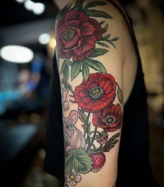 Flower, Rose, Nature