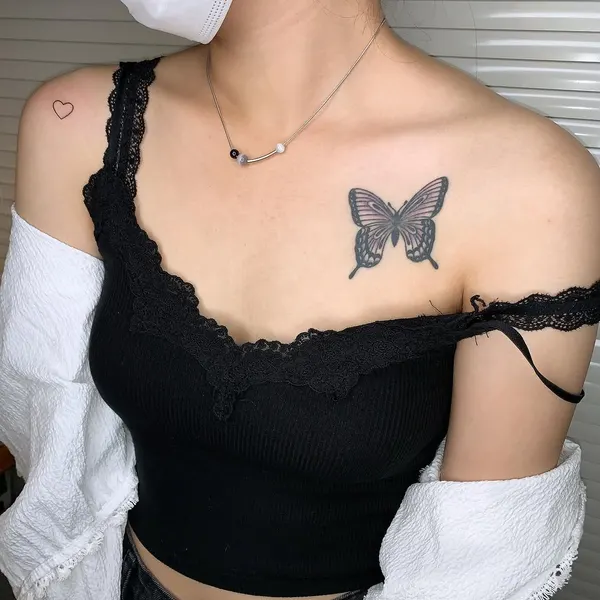 Animal
