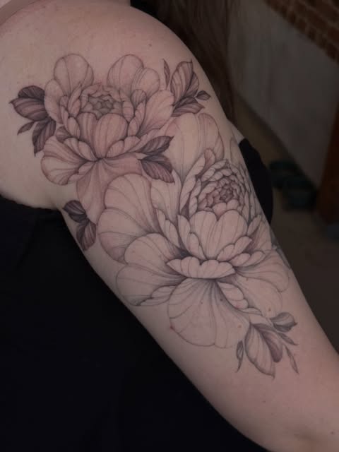 Flower, Rose, Nature