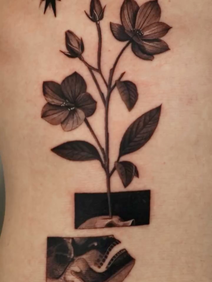 Flower