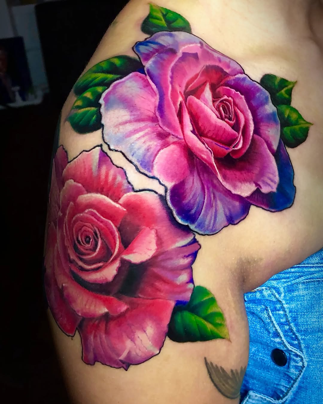 Flower, Rose, Nature