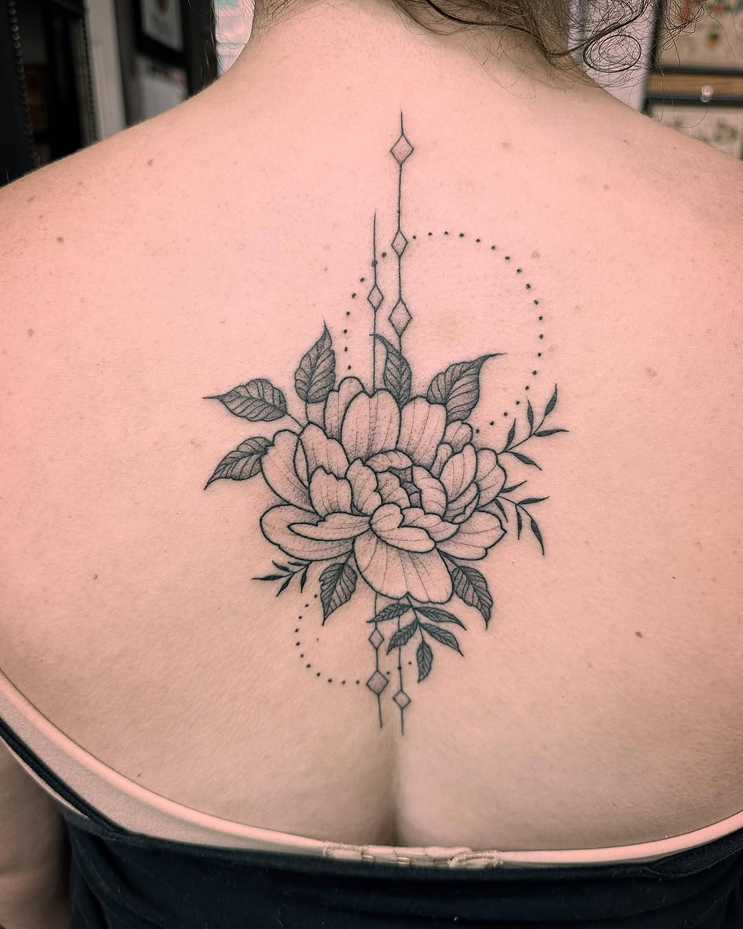 Flower, Rose, Nature