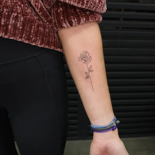 Flower, Rose