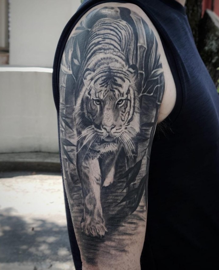 Tiger