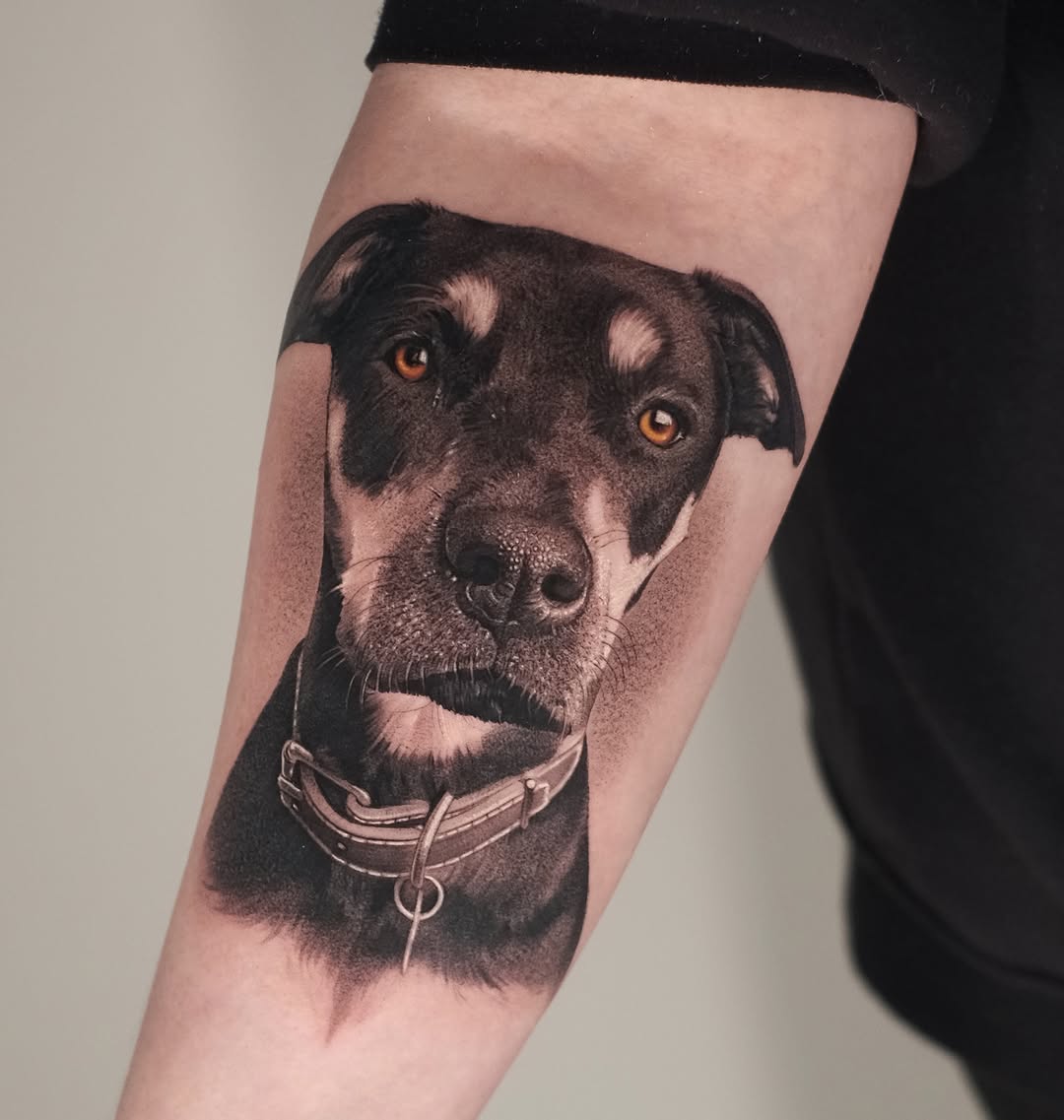 Animal
