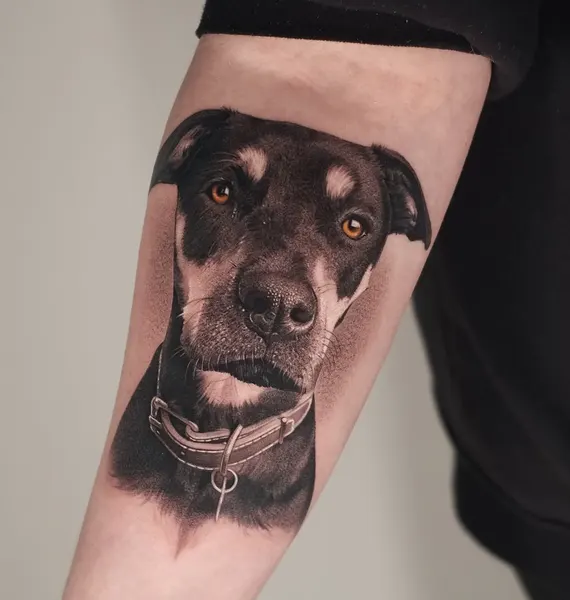 Animal