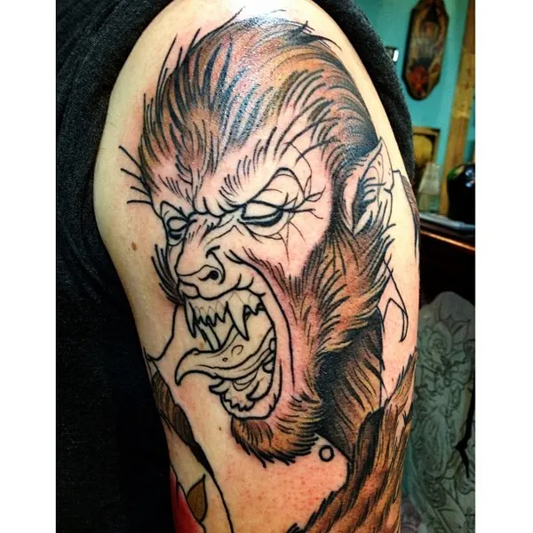Tiger, Animal