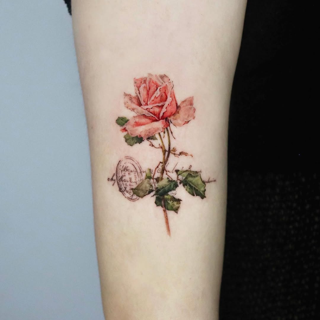 Flower, Rose, Nature