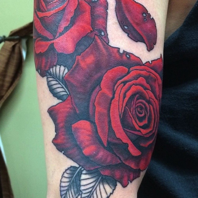 Flower, Rose