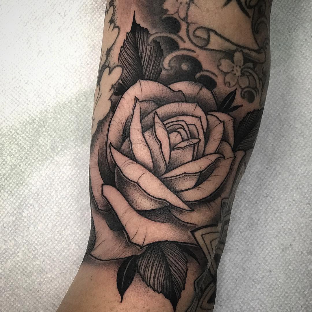 Flower, Rose
