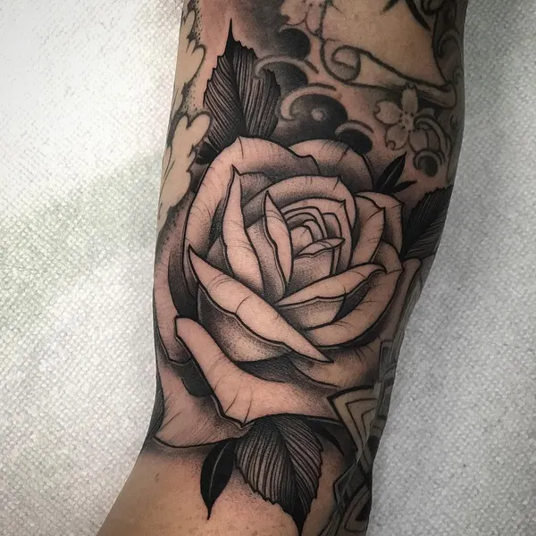 Flower, Rose