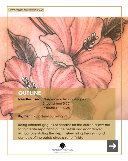Flower, Nature, Rose