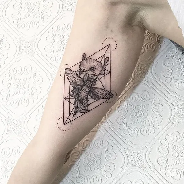 Animal, Nature, Flower