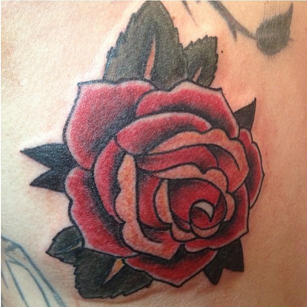 Flower, Rose, Nature
