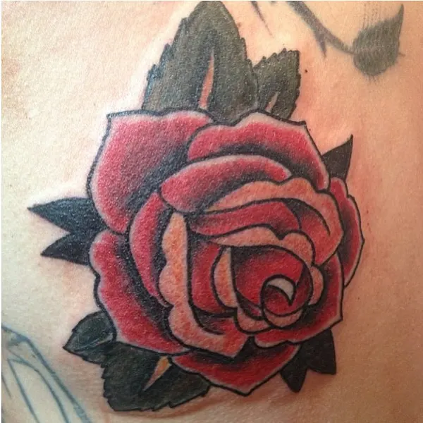 Flower, Rose, Nature